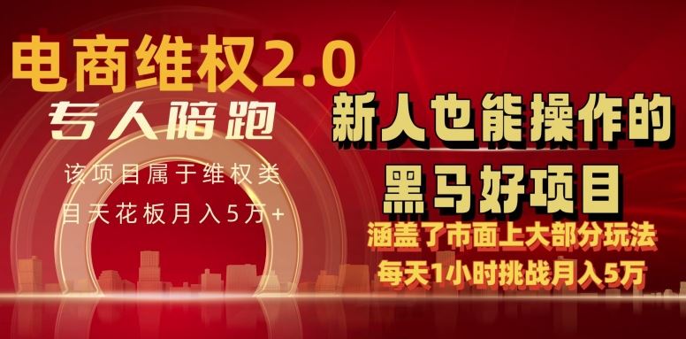 电商维权 4.0 如何做到月入 5 万+每天 1 小时新人也能快速上手【仅揭秘】-就去找资源网