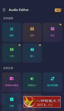 Audio Editor Pro 专业音频编辑器v1.01.56.0812.1高级版-就去找资源网