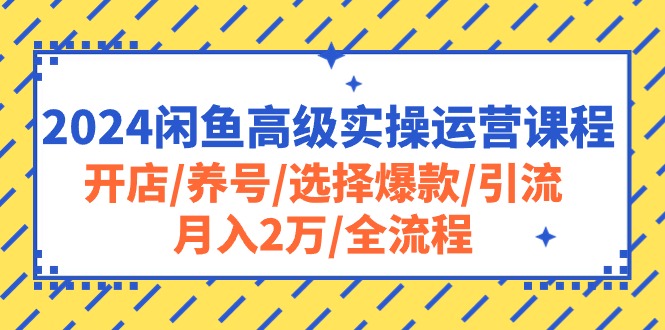 (10711期)2024闲鱼高级实操运营课程:开店/养号/选择爆款/引流/月入2万/全流程-就去找资源网