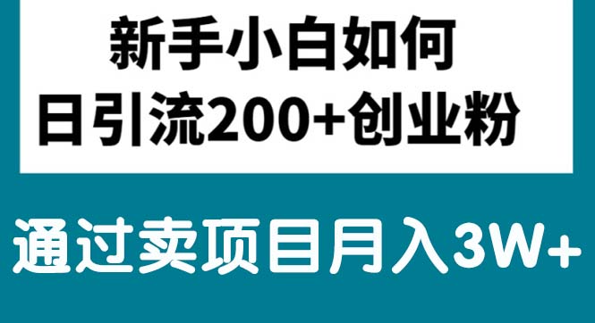 (10843期)新手小白日引流200+创业粉,通过卖项目月入3W+-就去找资源网