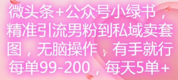 微头条+公众号小绿书，精准引流男粉到私域卖套图，无脑操作，有手就行，每单99-200，每天5单-就去找资源网