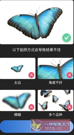 Picture Insect 昆虫识别2.8.31高级版-就去找资源网