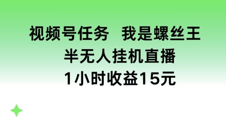 视频号任务，我是螺丝王， 半无人挂机1小时收益15元【揭秘】-就去找资源网