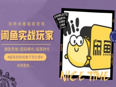 手把手教你0到1系统玩转闲鱼变现，爆款思维/超级曝光/超高转化-就去找资源网