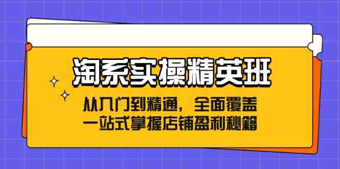 淘系实操精英班：从入门到精通，全面覆盖，一站式掌握店铺盈利秘籍-就去找资源网