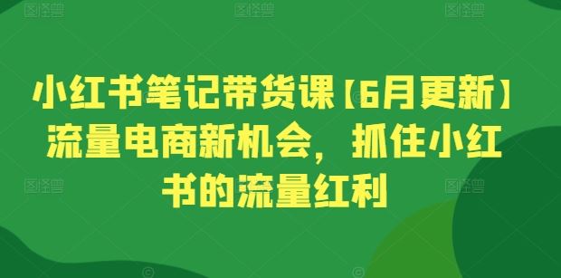 小红书笔记带货课【6月更新】流量电商新机会,抓住小红书的流量红利-就去找资源网