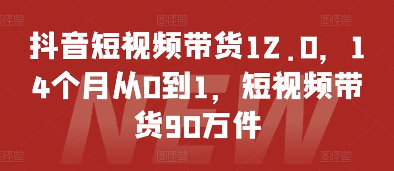 抖音短视频带货12.0，14个月从0到1，短视频带货90万件-就去找资源网