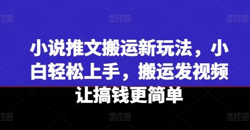 小说推文搬运新玩法,小白轻松上手,搬运发视频让搞钱更简单-就去找资源网