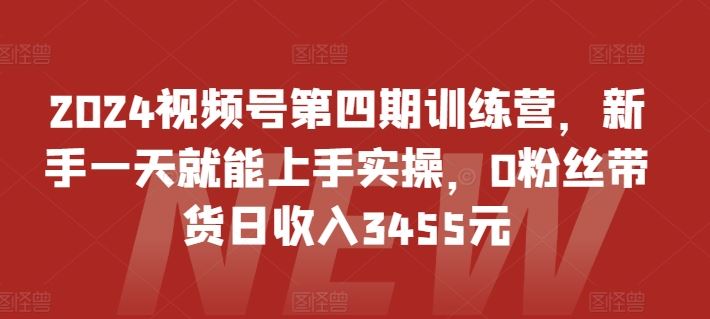 2024视频号第四期训练营,新手一天就能上手实操,0粉丝带货日收入3455元-就去找资源网