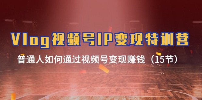 （11654期）Vlog 视频号IP变现特训营，普通人如何通过视频号变现赚钱（15节）-就去找资源网