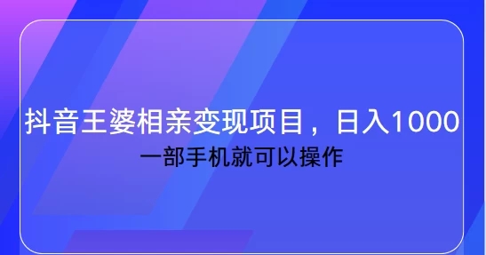 抖音王婆相亲变现私域项目，日入1000+ 一部手机就可操作-就去找资源网