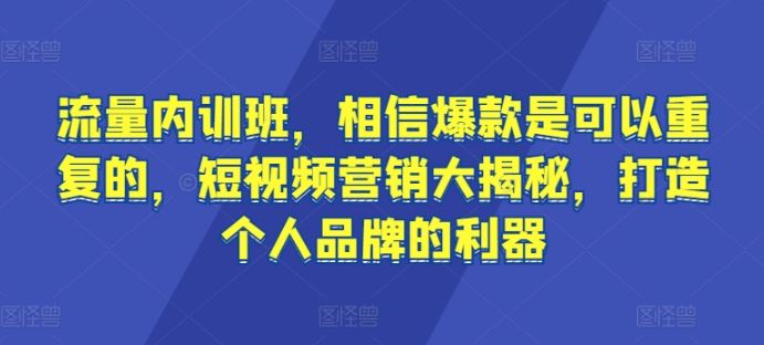 流量内训班，相信爆款是可以重复的，短视频营销大揭秘，打造个人品牌的利器-就去找资源网