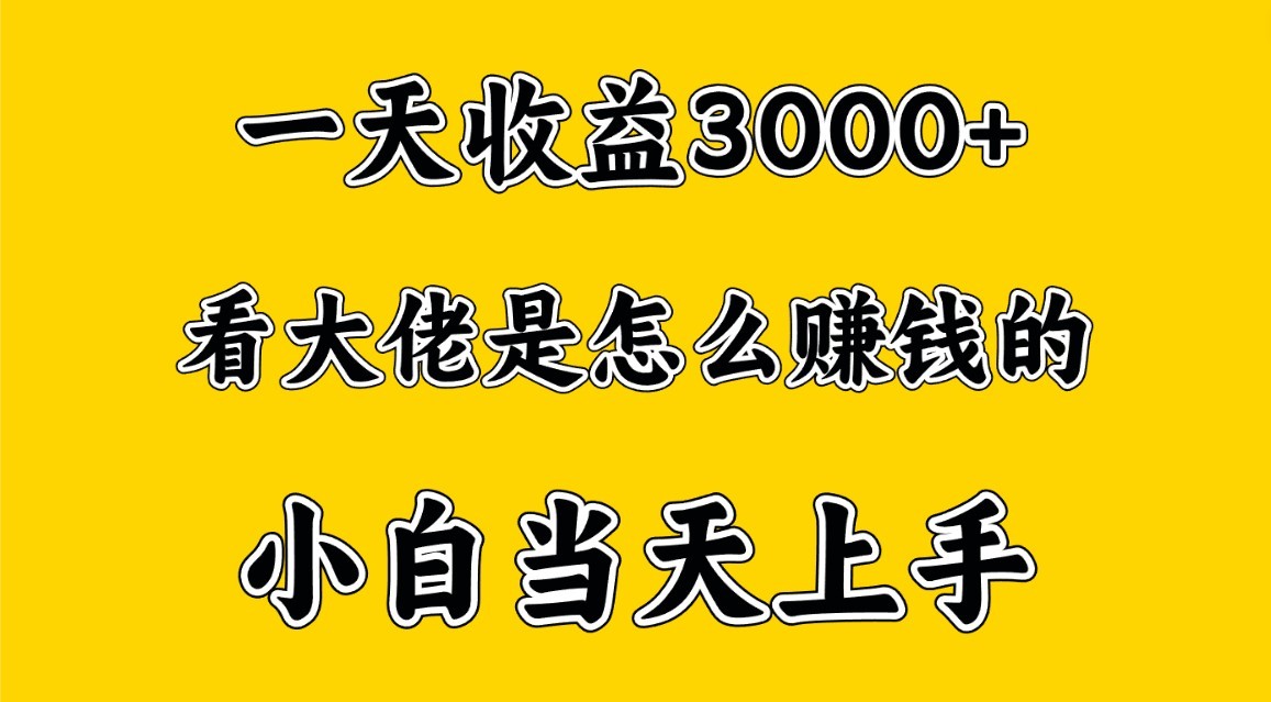 一天赚3000多,大佬是这样赚到钱的,小白当天上手,穷人翻身项目-就去找资源网