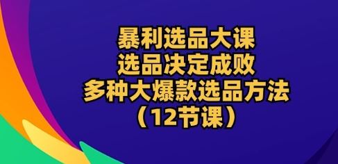暴利选品大课:选品决定成败,教你多种大爆款选品方法(12节课)-就去找资源网