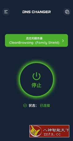 DNS Changer Pro DNS服务器v2.4.1高级版-就去找资源网