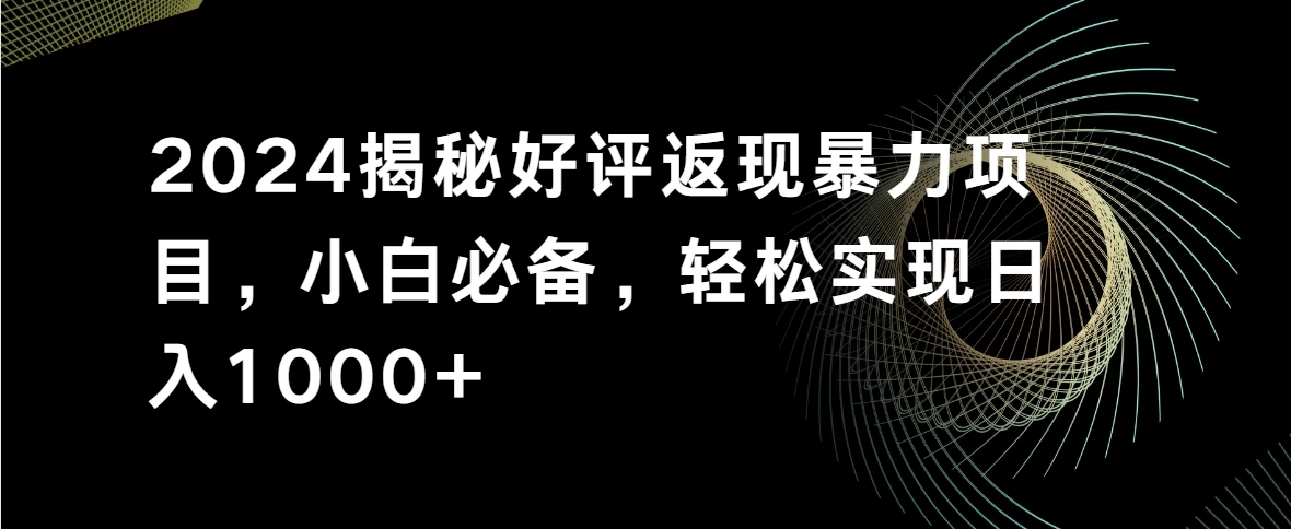2024揭秘好评返现暴力项目,小白必备,轻松实现日入1000+-就去找资源网