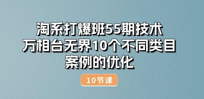 淘系打爆班55期技术:万相台无界10个不同类目案例的优化(10节)-就去找资源网
