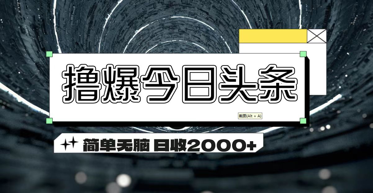（11665期）撸爆今日头条 简单无脑操作 日收2000+-就去找资源网