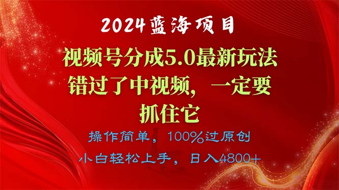 (11032期)2024蓝海项目,视频号分成计划5.0最新玩法,错过了中视频,一定要抓住…-就去找资源网
