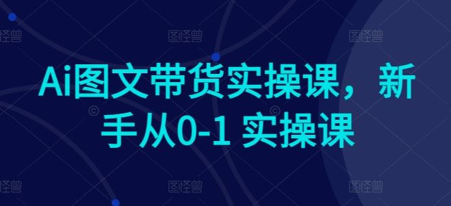 Ai图文带货实操课，新手从0-1 实操课-就去找资源网