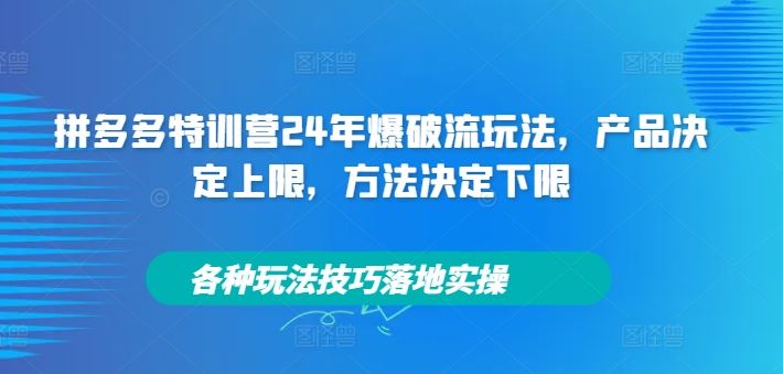 拼多多特训营24年爆破流玩法，产品决定上限，方法决定下限，各种玩法技巧落地实操-就去找资源网