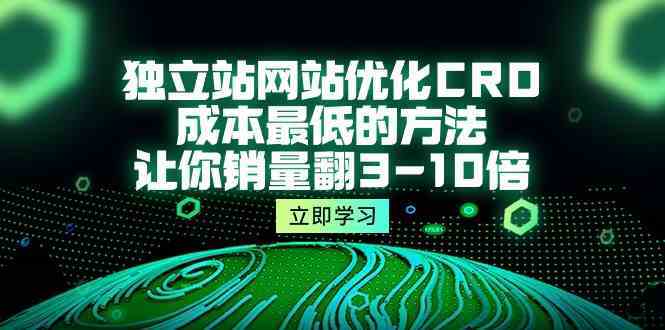 独立站网站优化CRO，成本最低的方法，让你销量翻3-10倍（5节课）-就去找资源网