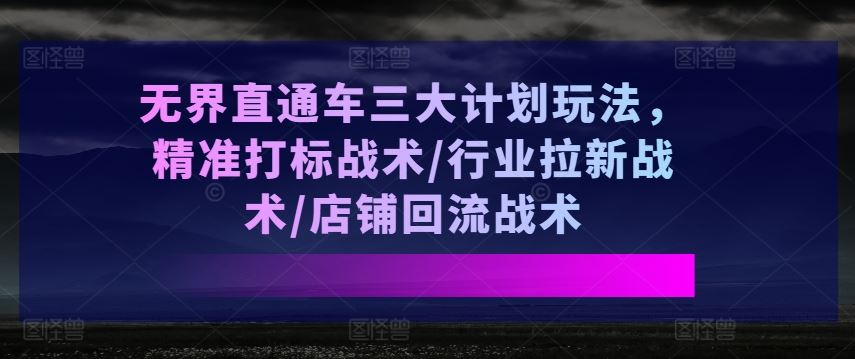 无界直通车三大计划玩法,精准打标战术/行业拉新战术/店铺回流战术-就去找资源网