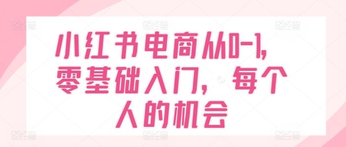 小红书电商从0-1，零基础入门，每个人的机会-就去找资源网