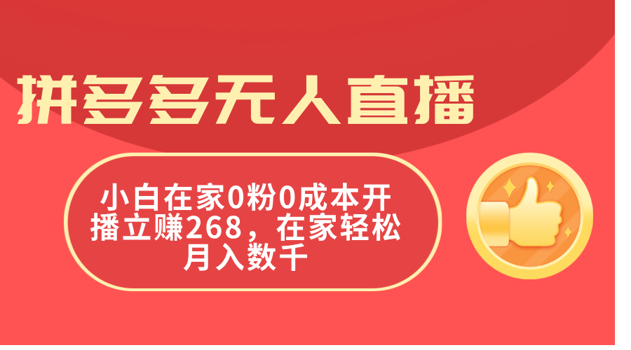 (11521期)拼多多无人直播,小白在家0粉0成本开播立赚268,在家轻松月入数千-就去找资源网