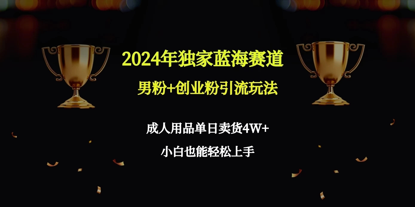 2024独家蓝海赛道，男粉＋创业粉引流玩法。-就去找资源网
