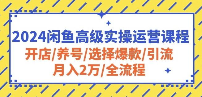 2024闲鱼高级实操运营课程:开店/养号/选择爆款/引流/月入2万/全流程-就去找资源网