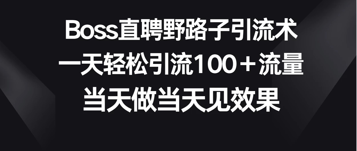 Boss直聘野路子引流术，一天轻松引流100+流量，当天做当天见效果-就去找资源网