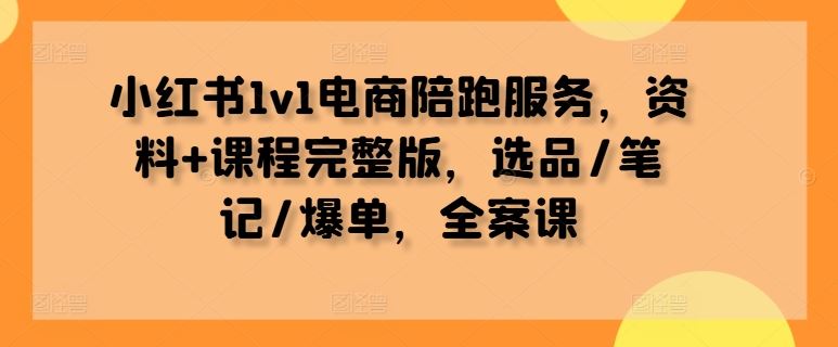 小红书1v1电商陪跑服务,资料+课程完整版,选品/笔记/爆单,全案课