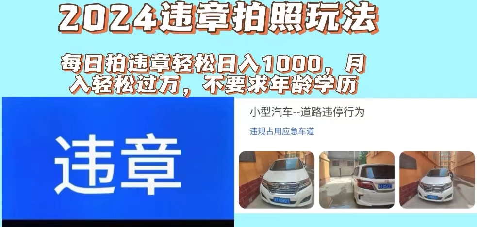 （11743期）2024违章拍照新玩法，推广躺赚+拍照赚钱双模式，日入1000+-就去找资源网