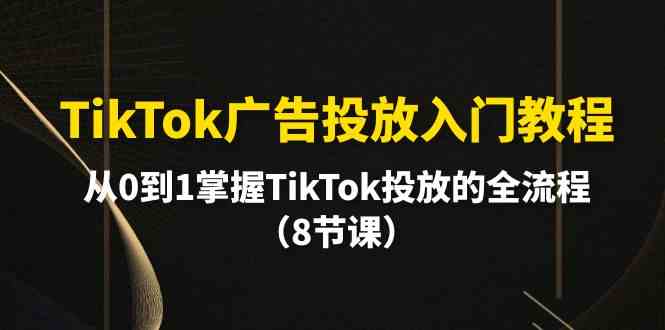 (10085期)TikTok广告投放入门教程,从0到1掌握TikTok投放的全流程(8节课)-就去找资源网