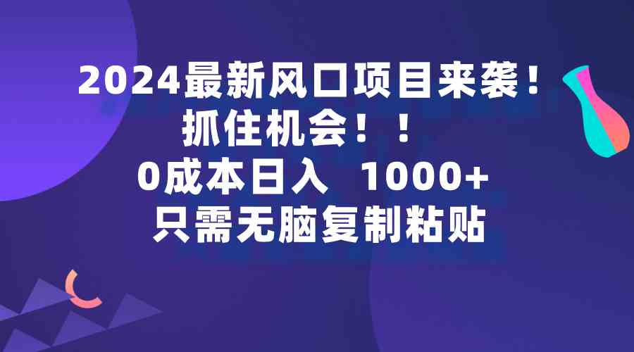 （9899期）2024最新风口项目来袭，抓住机会，0成本一部手机日入1000+，只需无脑复…-就去找资源网