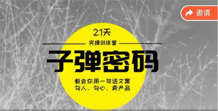 《子弹密码训练营》-用一句话文案勾人勾心卖产品，21天学到顶尖文案大师策略和技巧-就去找资源网
