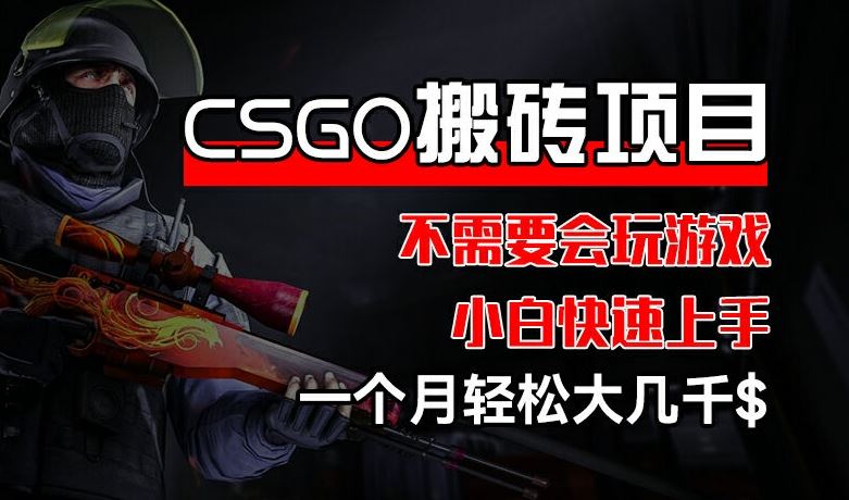 CSGO 装备搬砖项目，操作简单，不需要会玩游戏，小白也能快速上手，一个月轻松大几千【揭秘】-就去找资源网