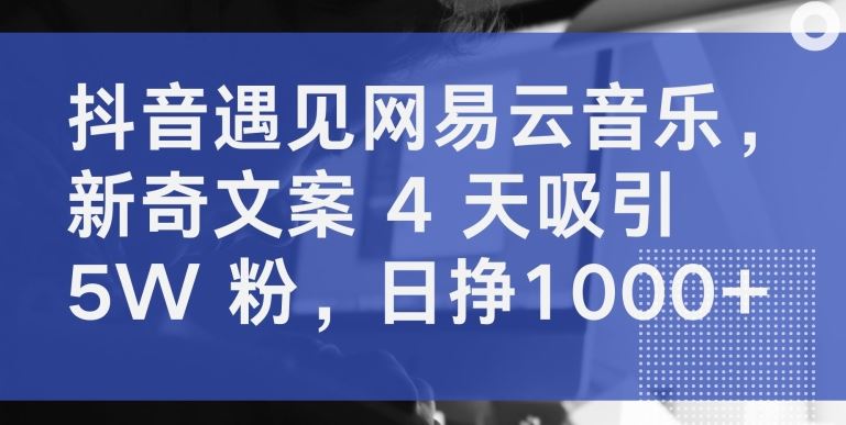 抖音遇见网易云音乐,新奇文案 4 天吸引 5W 粉,日挣1000+【揭秘】-就去找资源网