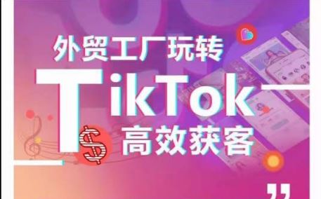 外贸工厂玩转TikTok高效获客，多种引流方式与账号定位技巧，拆解爆款短视频打造成功案例-就去找资源网
