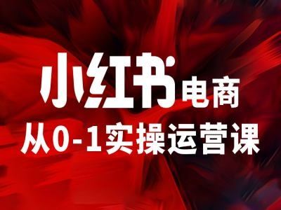 小红书电商从0-1实操运营课,让你从小白到精英-就去找资源网