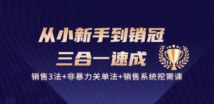 从小新手到销冠 三合一速成:销售3法+非暴力关单法+销售系统挖需课 (27节)-就去找资源网