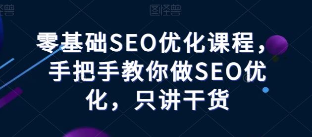 零基础SEO优化课程,手把手教你做SEO优化,只讲干货-就去找资源网