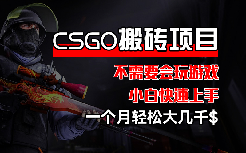 （12332期）CSGO 装备搬砖项目，操作简单，不需要会玩游戏，小白也能快速上手，一…-就去找资源网