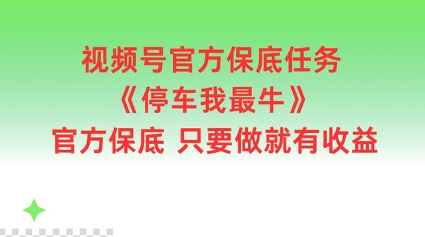 视频号官方保底任务,停车我最牛,官方保底只要做就有收益【揭秘】-就去找资源网