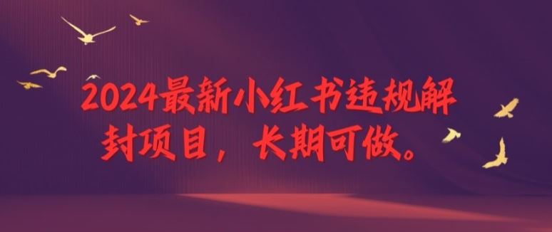 2024最新小红书违规解封项目，长期可做，一个可以做到退休的项目【揭秘】-就去找资源网