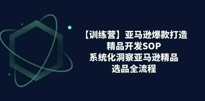 亚马逊爆款打造之精品开发SOP【训练营】，系统化洞察亚马逊精品选品全流程-就去找资源网