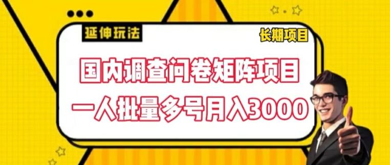 国内调查问卷矩阵项目，一人批量多号月入3000【揭秘】-就去找资源网