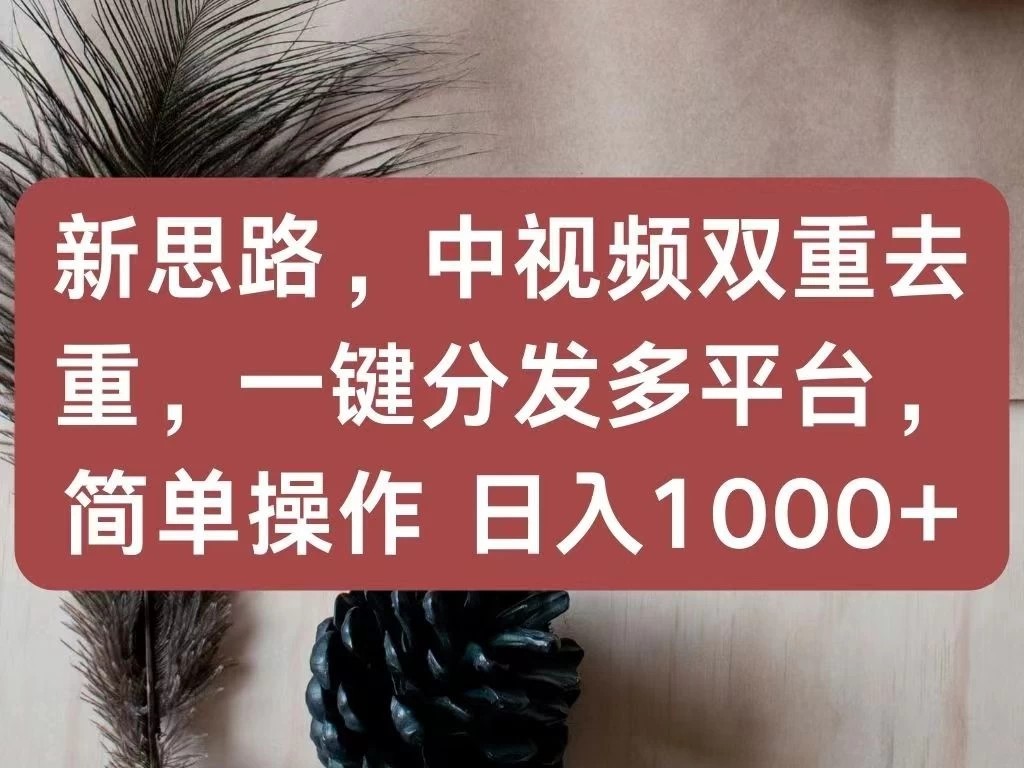 新思路,中视频双重去重,一键分发多平台,简单操作,日入1000+!快来试试吧!-就去找资源网
