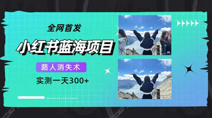 小红书蓝海项目,路人消失术,实测一天 300+-就去找资源网